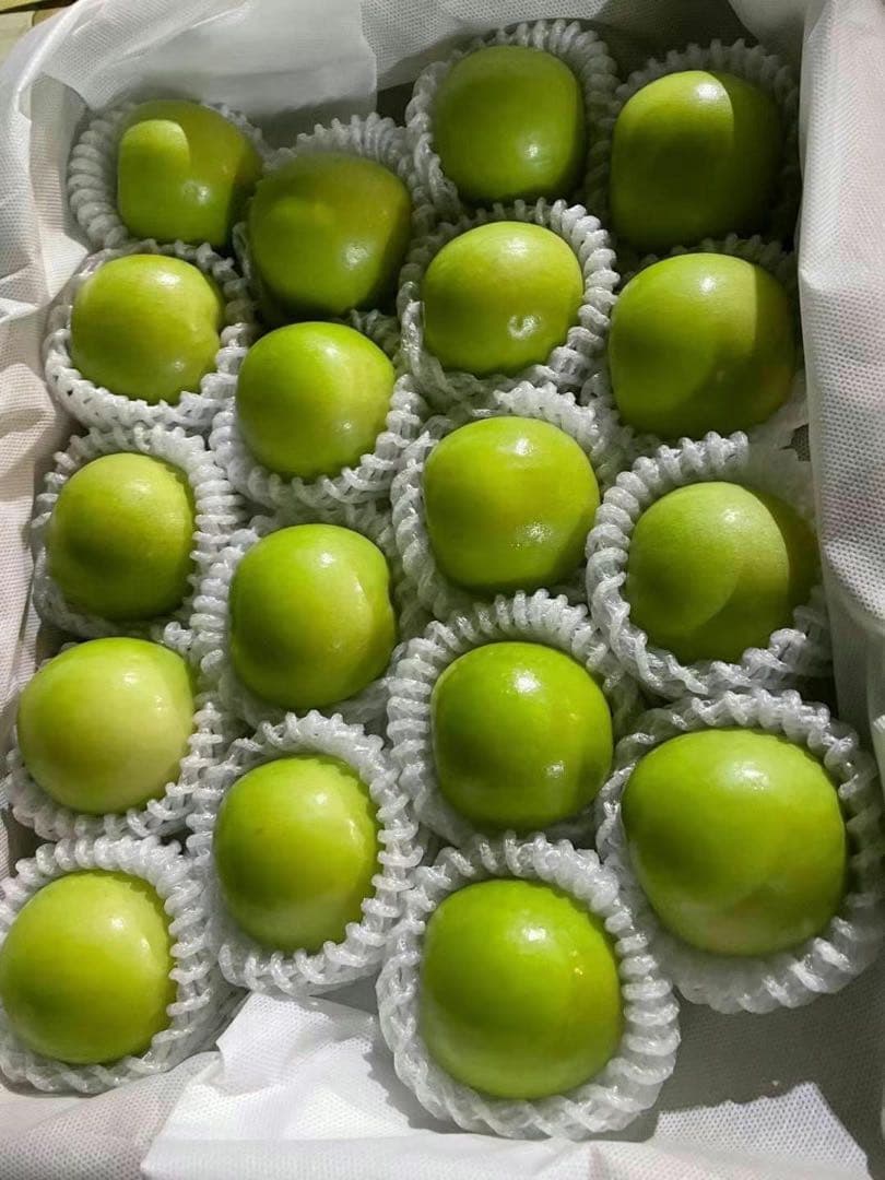 418新鮮台湾ナツメ　台湾青棗 箱込み2.5kg(１８~24玉)玉数お任せ