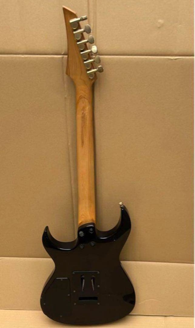 I*s様 FERNANDES エレキギター