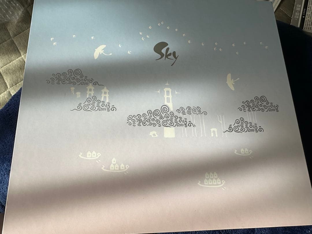 Sky 星を紡ぐ子どもたち ピンバッジセット つながりのボックス 雨林