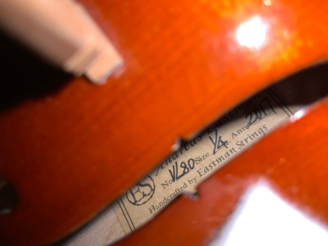 Andreas Eastman VL80 1/4 2017 イーストマン