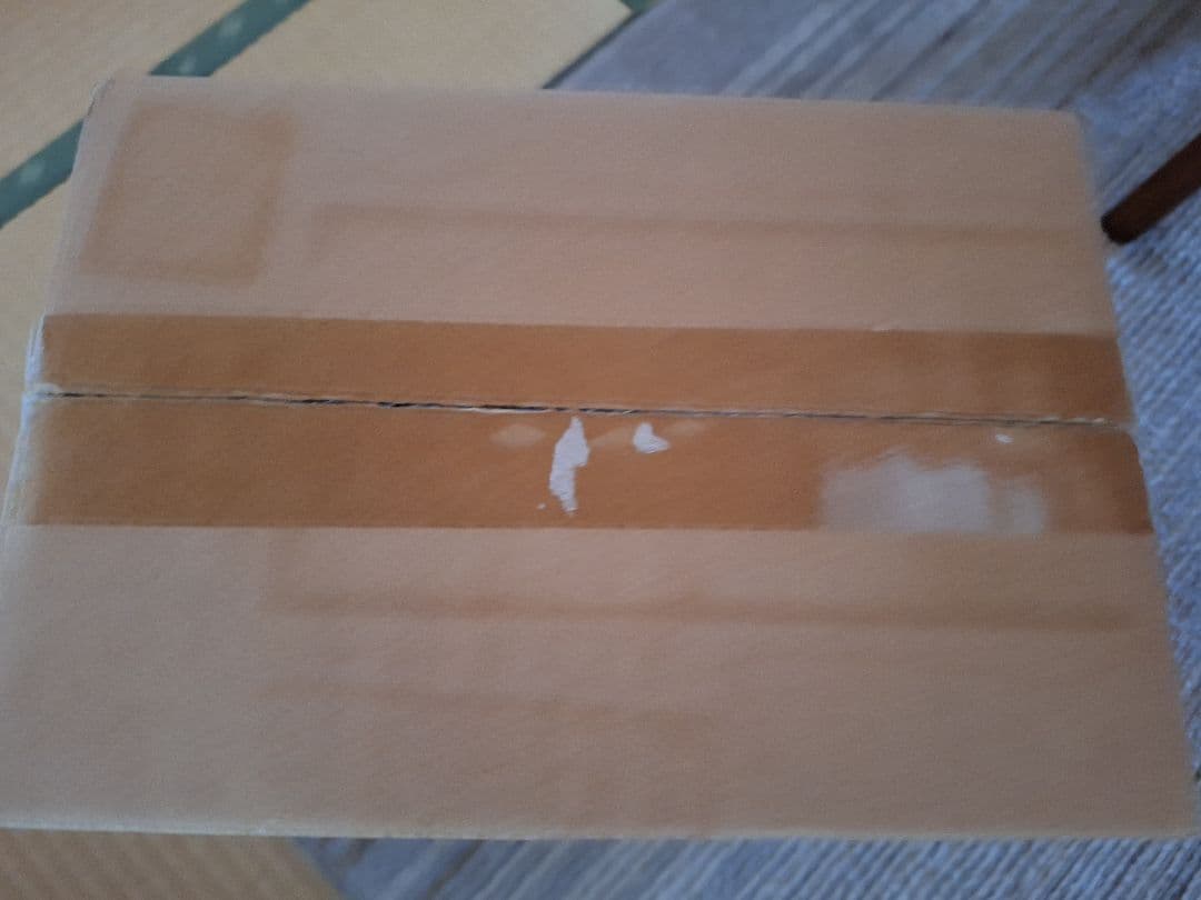 超貴重！東宝大怪獣シリーズ アンギラス 1968年版 少年リック限定再販 未開封