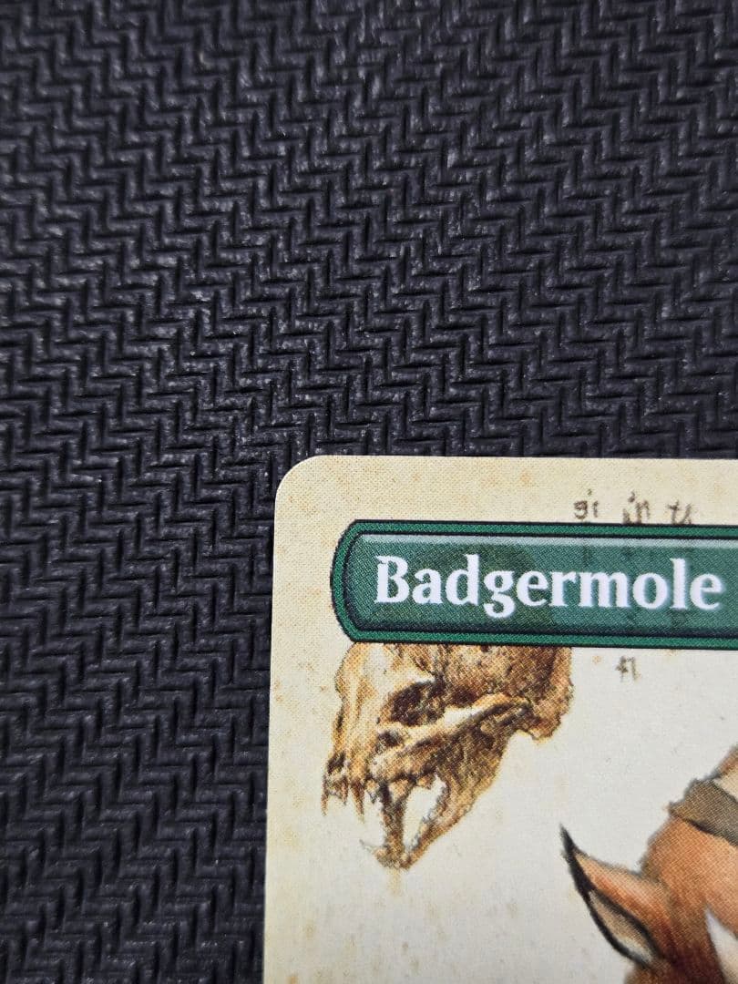 S*w様 ■ボーダーレス■アナグマモグラの仔　英語版　アバター　MTG