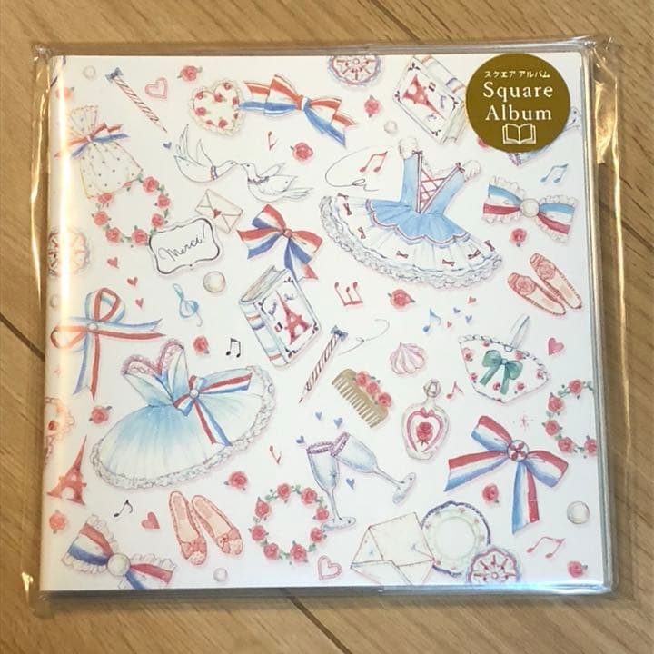 ★新品★たけいみき  スクエアアルバム  パリの炎