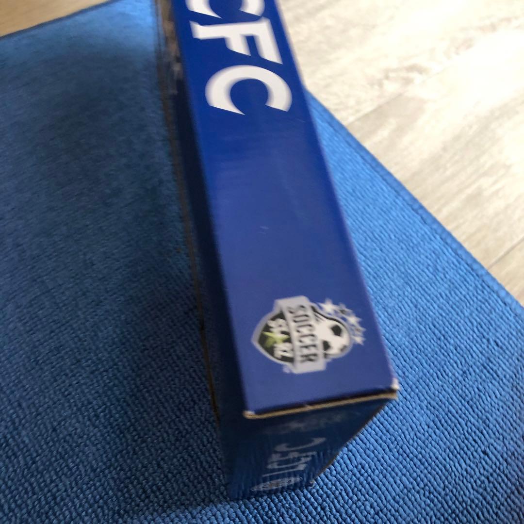 (希少!限定品)レスターシティFC プレミアリーグ優勝記念ボックス