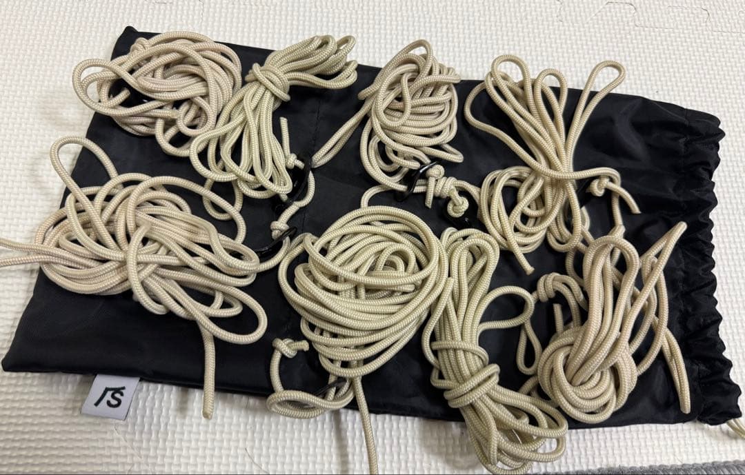 サバティカル　アルニカ　サンドストーン