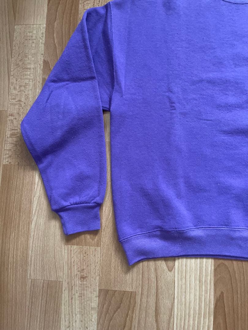 90sDOGTOWNスウェット Santa Cruz Powell zorlac