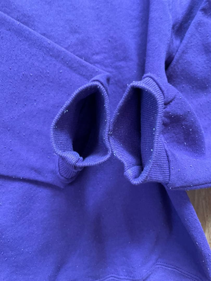 90sDOGTOWNスウェット Santa Cruz Powell zorlac