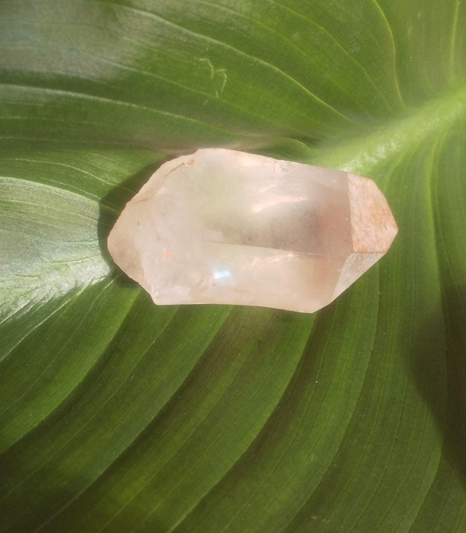 ピンク レムリアンシード