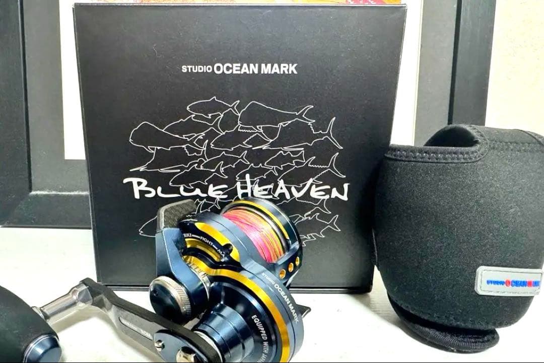 ブルーヘブン　BHL30Hi/R＆L-Ny/G(23)Spec