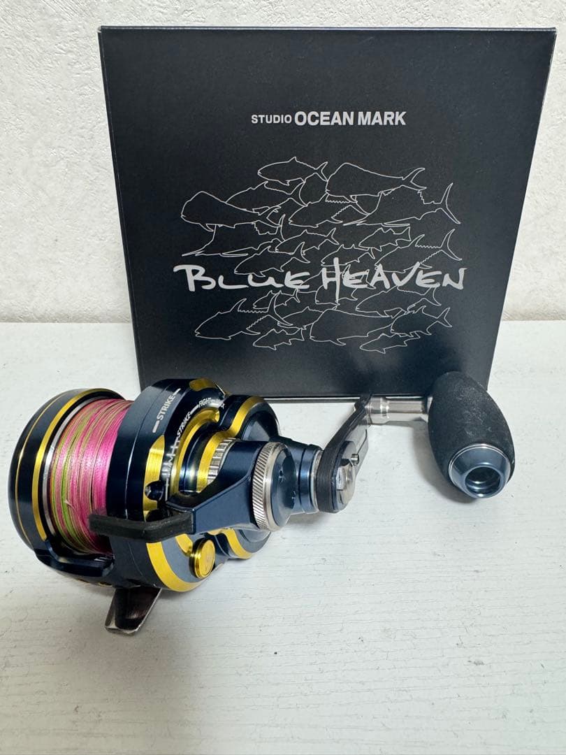 ブルーヘブン　BHL30Hi/R＆L-Ny/G(23)Spec