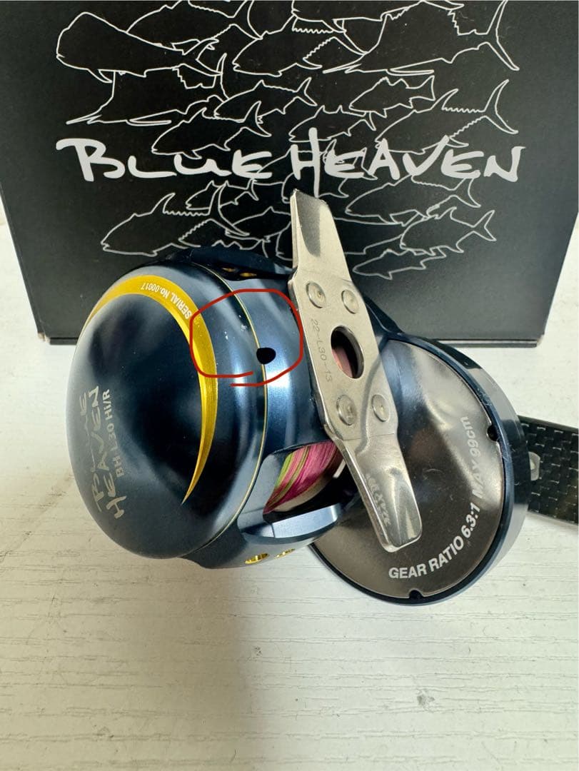 ブルーヘブン　BHL30Hi/R＆L-Ny/G(23)Spec