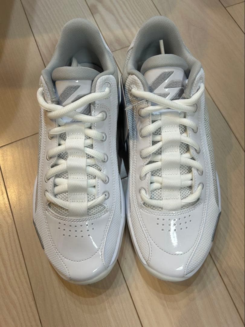 シューズ(男性用) JORDAN LUKA