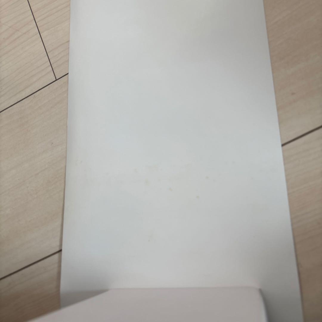 AKB0048 スティックポスター