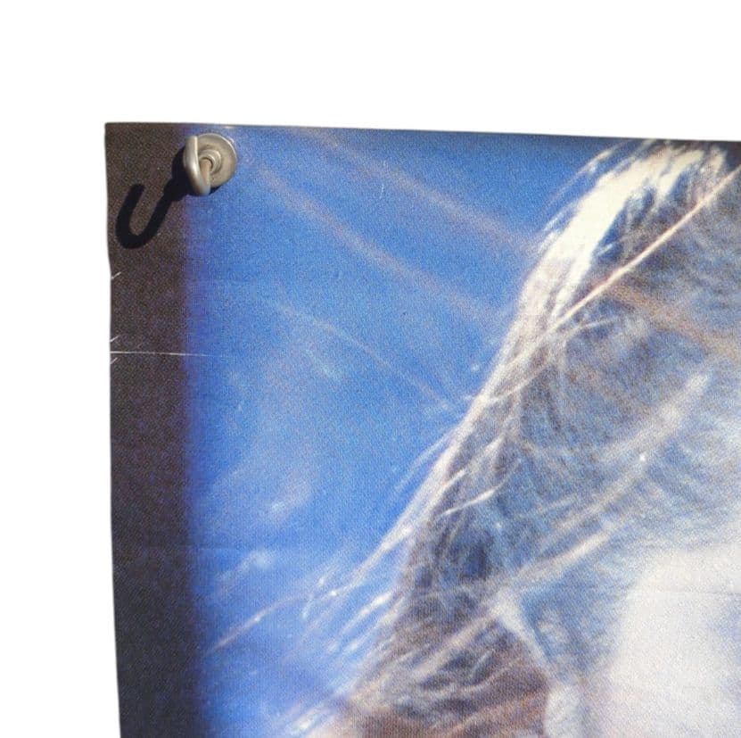 チャイニーズ・ゴースト・ストーリー 非売品 映画ポスター ラスト1枚