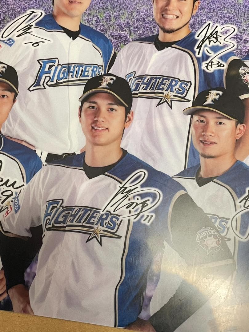 大谷翔平 日本ハム プレーヤーズ 下敷き クリアファイル セット