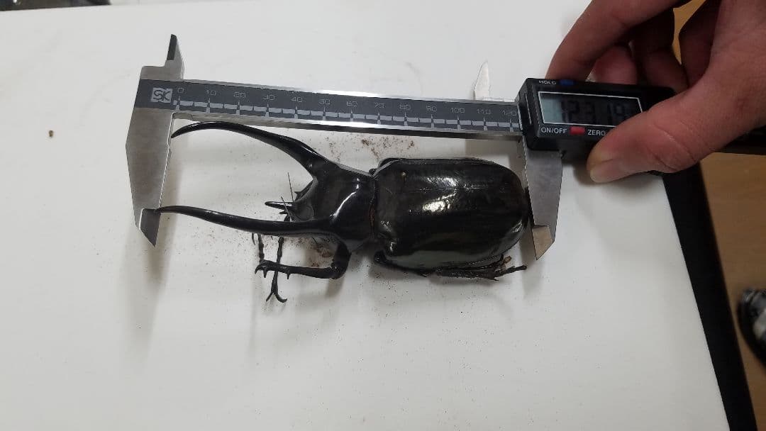 コレクションシリーズサタン