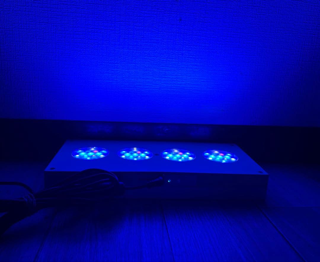 LEDライト AI Hydra ハイドラ52HD サンゴ