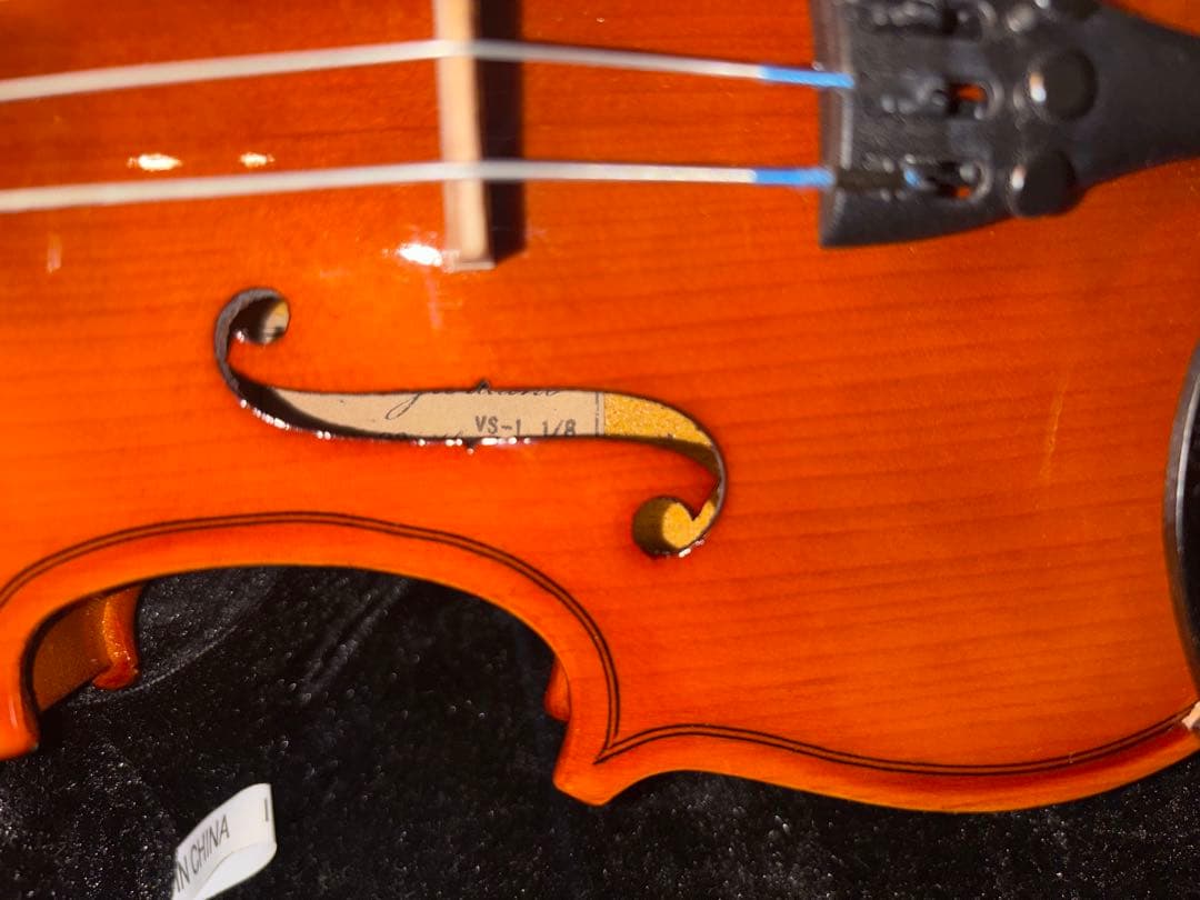 Carlo Giordano カルロジョルダーノ1/8 バイオリン VS-1