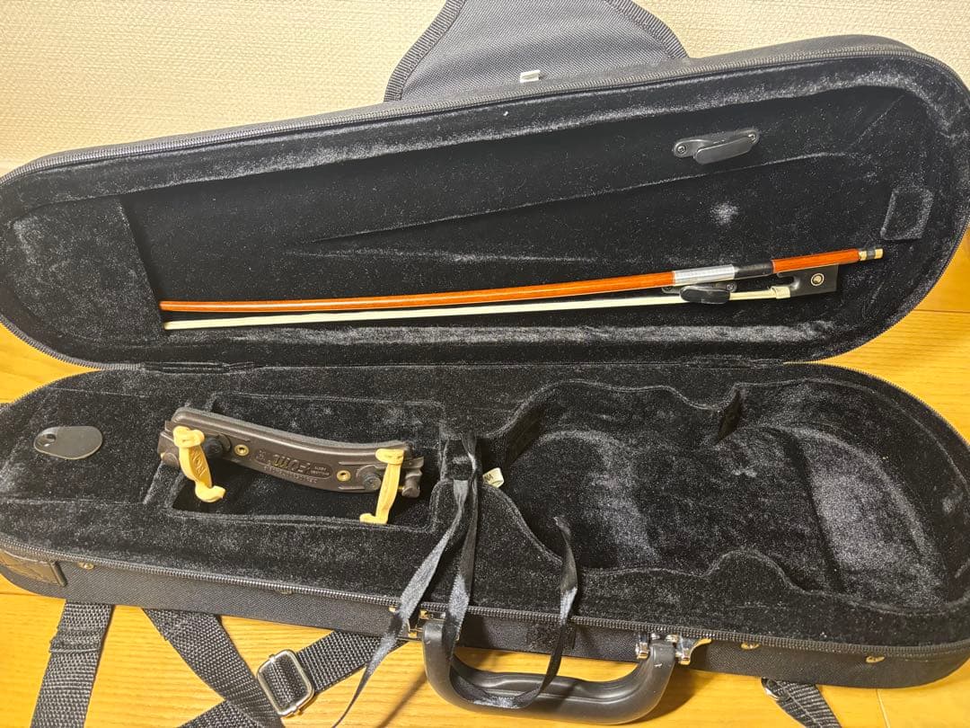 Carlo Giordano カルロジョルダーノ1/8 バイオリン VS-1