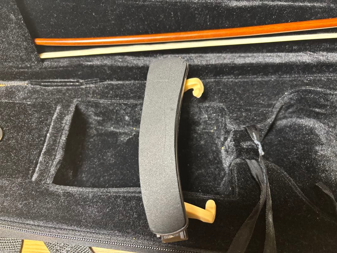 Carlo Giordano カルロジョルダーノ1/8 バイオリン VS-1