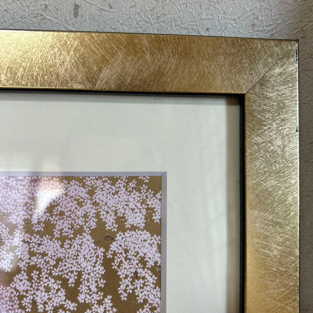 【中島千波】金色の額縁に優雅な満開の桜