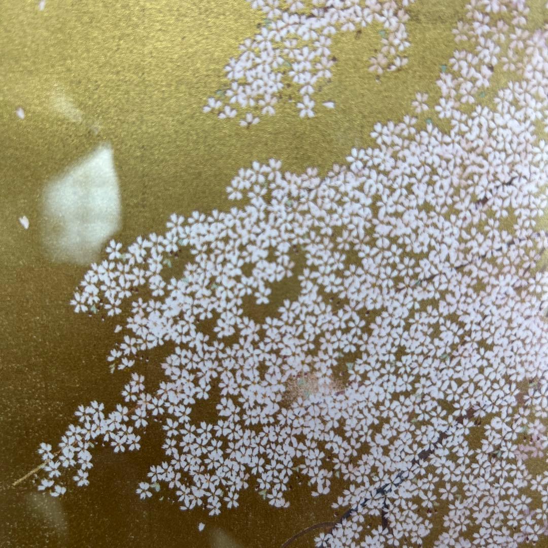 【中島千波】金色の額縁に優雅な満開の桜