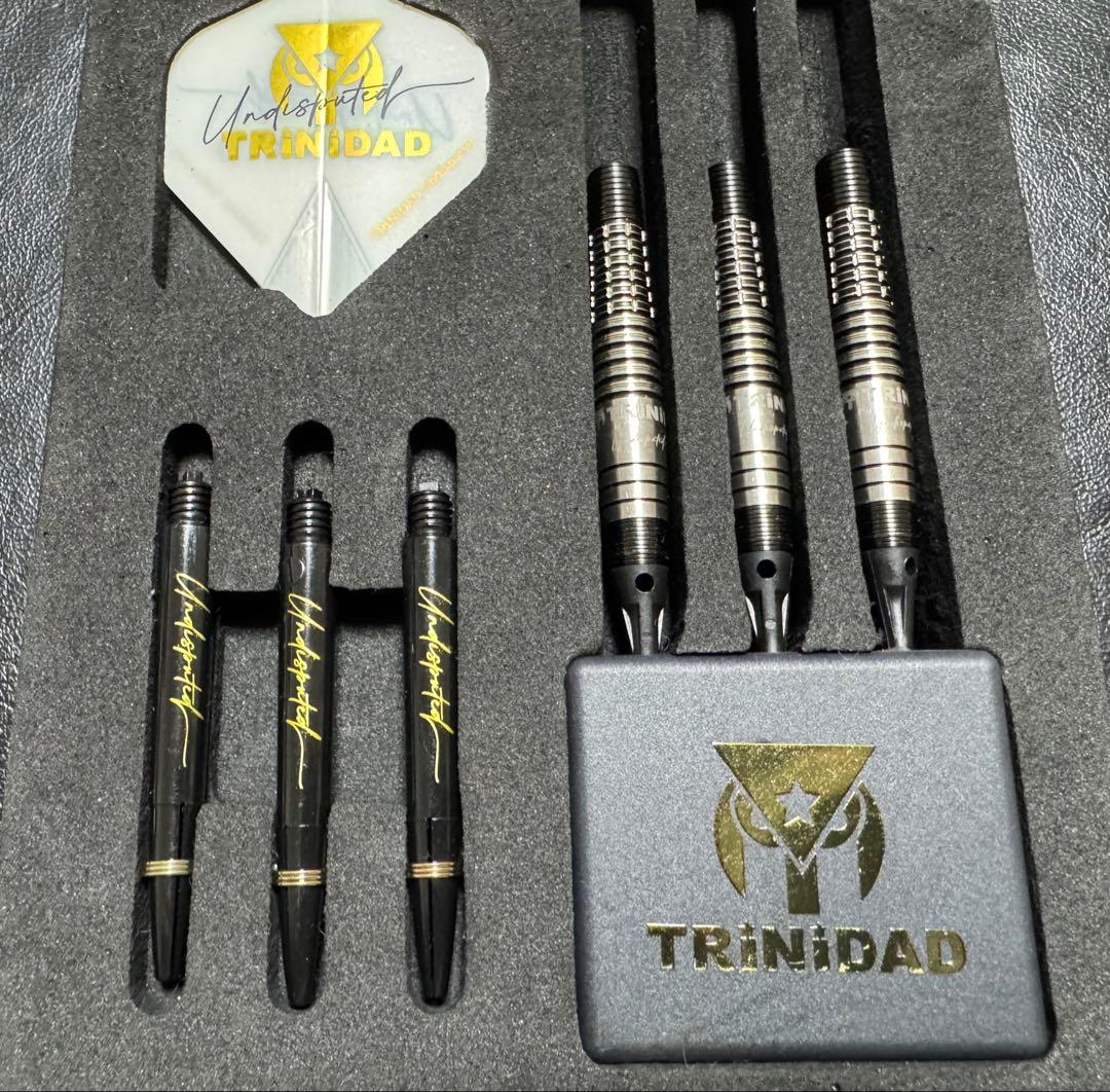 激レア トリニダード ロメロ タイプ1 岩田夏海モデル エスダーツ限定モデル