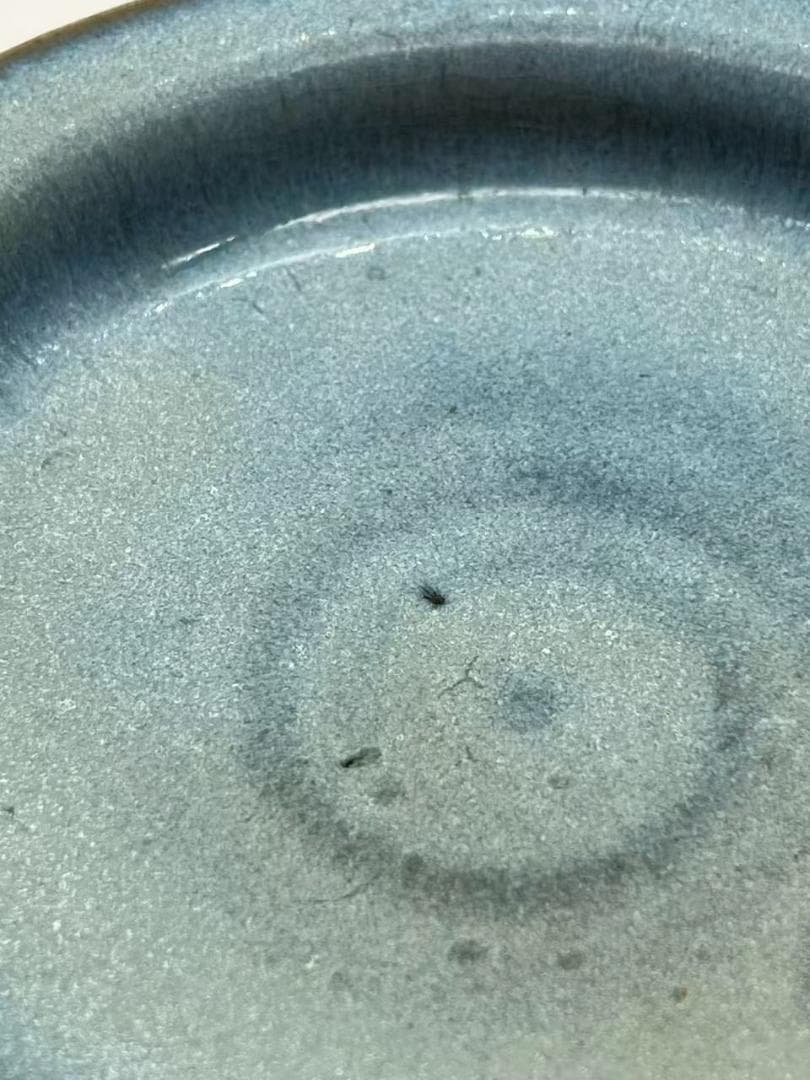 宋時代 鈞窯　天青紫紅釉盤 窯変釉皿　唐物　古賞物　時代物(A-109)