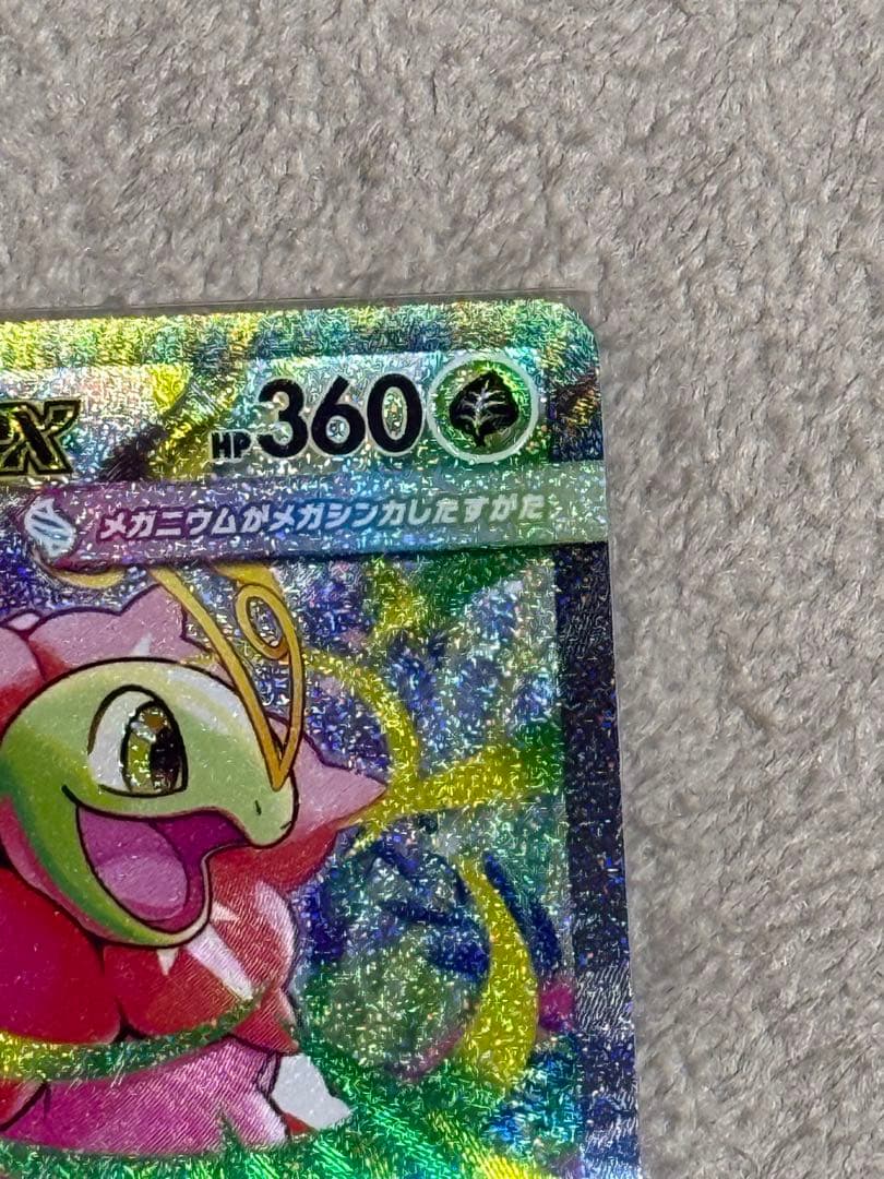 え*ん様 メガメガニウムex SARセット