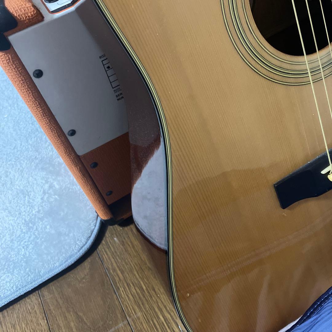 Morris アコースティックギター MD-502