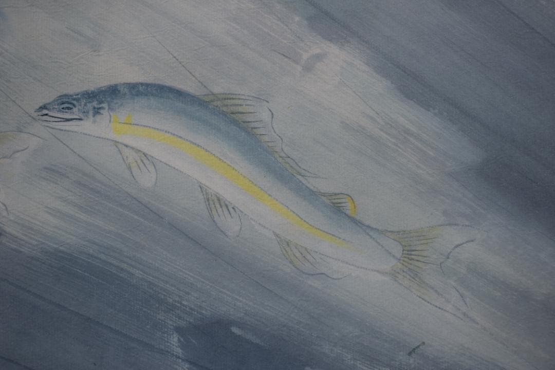 【真作】杉原元人/鮎図/群鮎渓流図/掛軸☆宝船☆Z-377