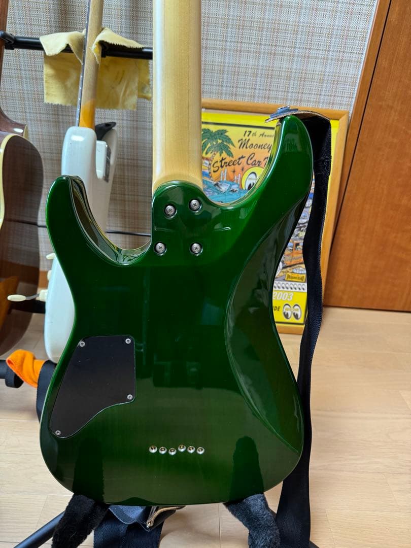 ギター fact SHADOWS TAKAHIRO SCHECTER PA-SW/TH