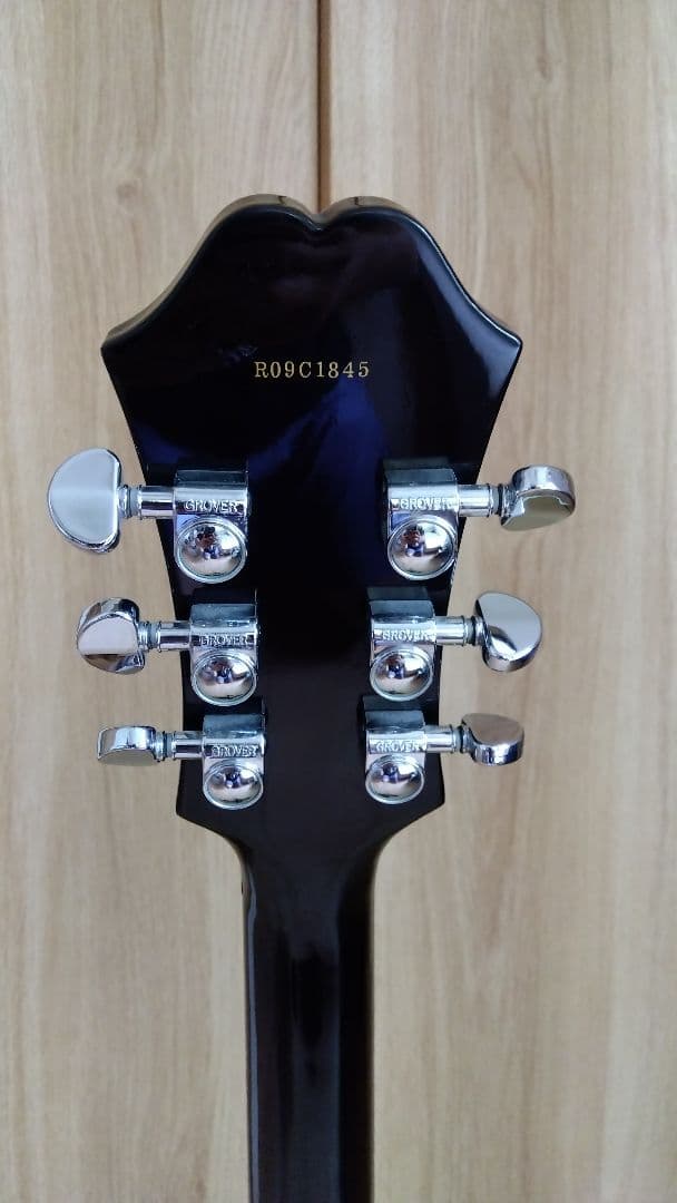 Epiphone DOT ダンカンSH-1エピフォン ドット