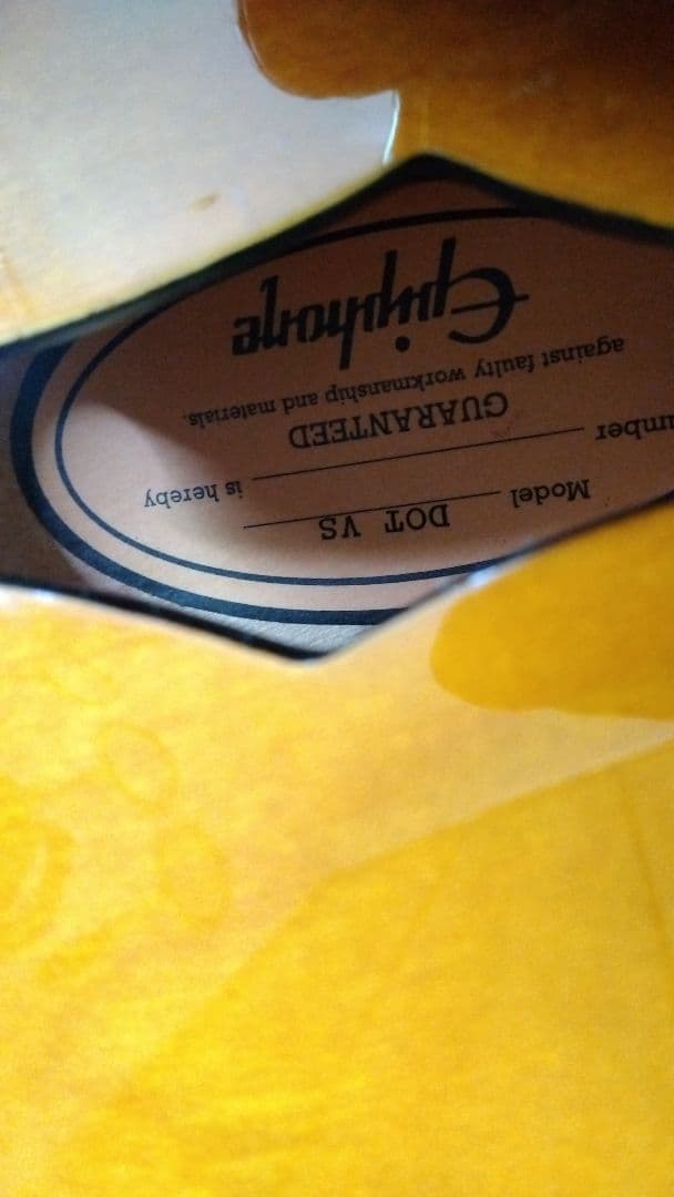 Epiphone DOT ダンカンSH-1エピフォン ドット