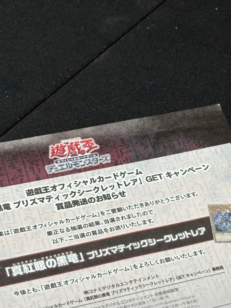 遊戯王　レッドアイズブラックドラゴン プリズマ　psa10