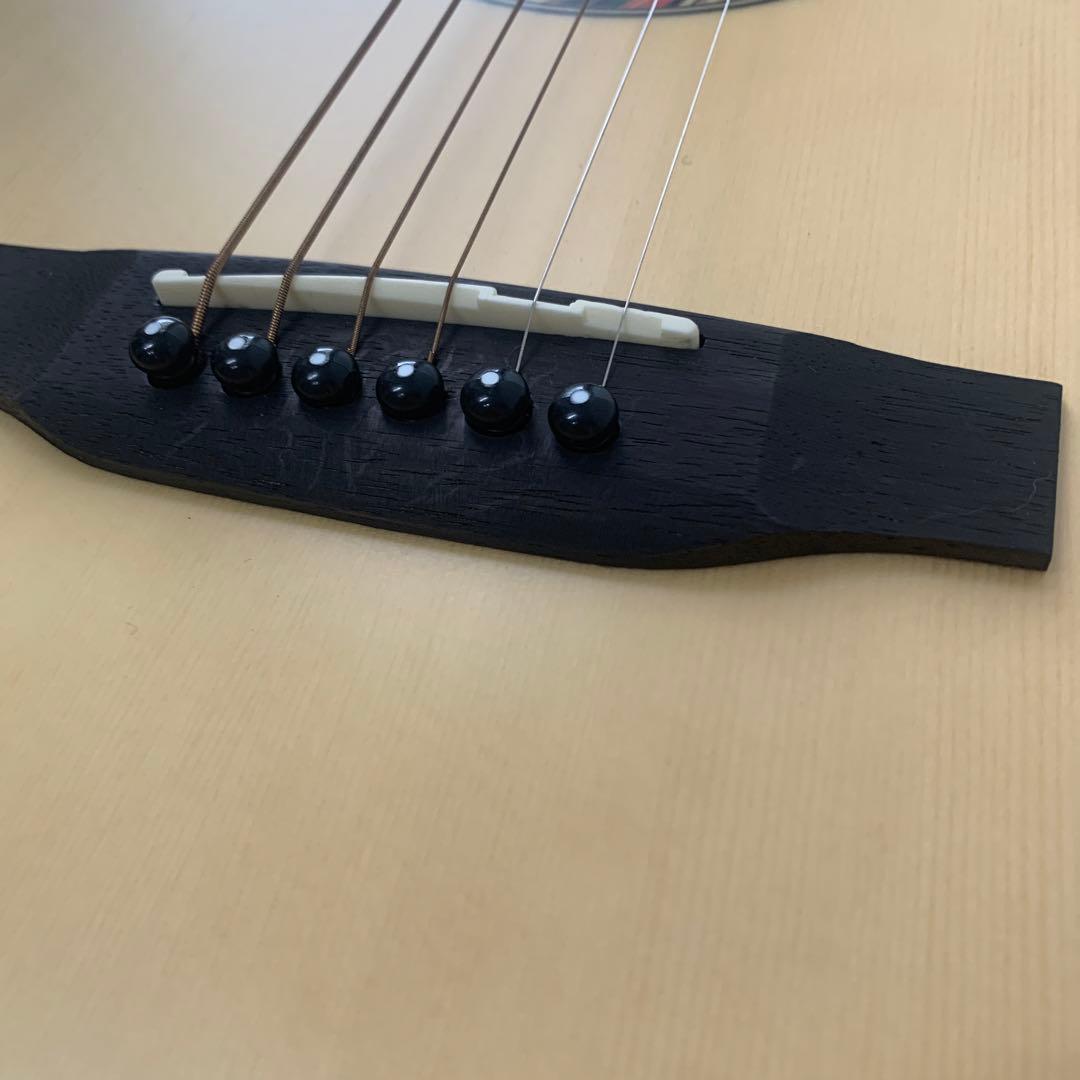 Elvis 「Master 1」アコースティックギター エルビス