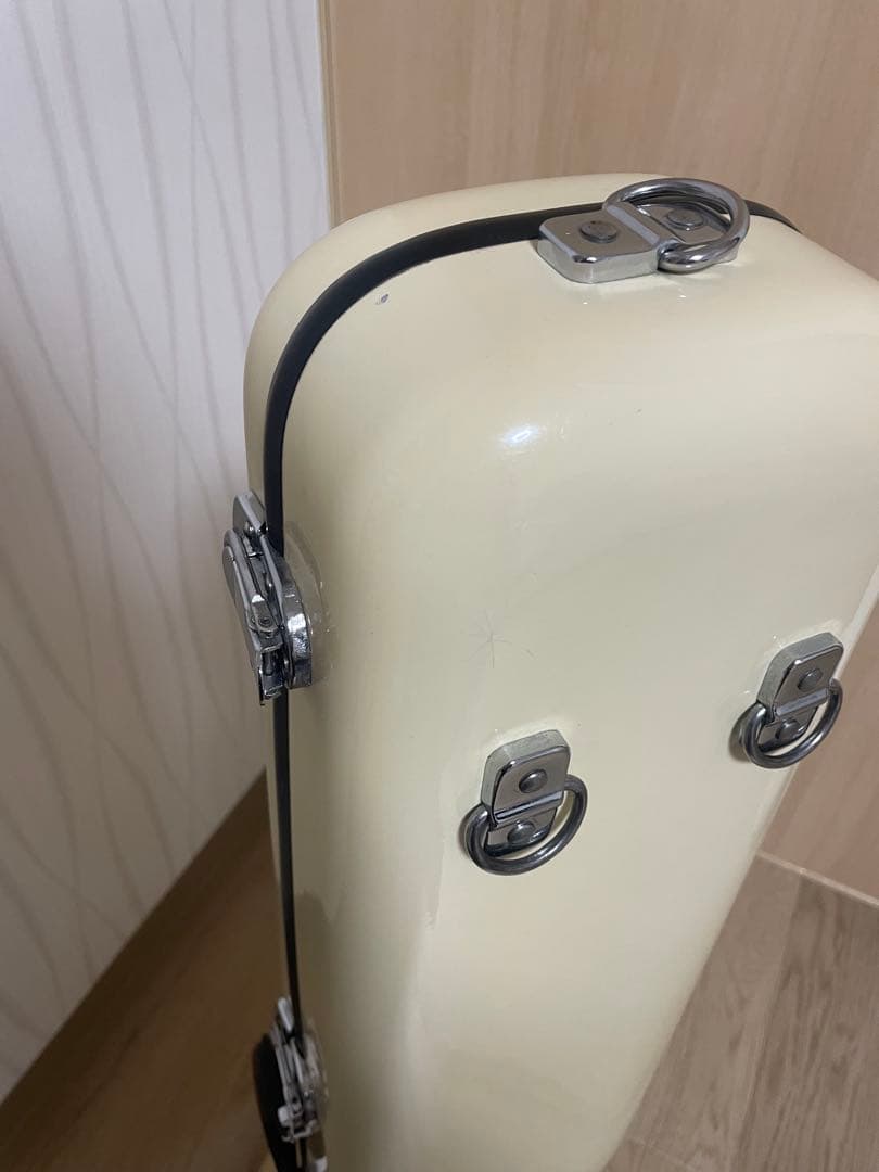 シャイニーケース テナー・テナーバストロンボーン用