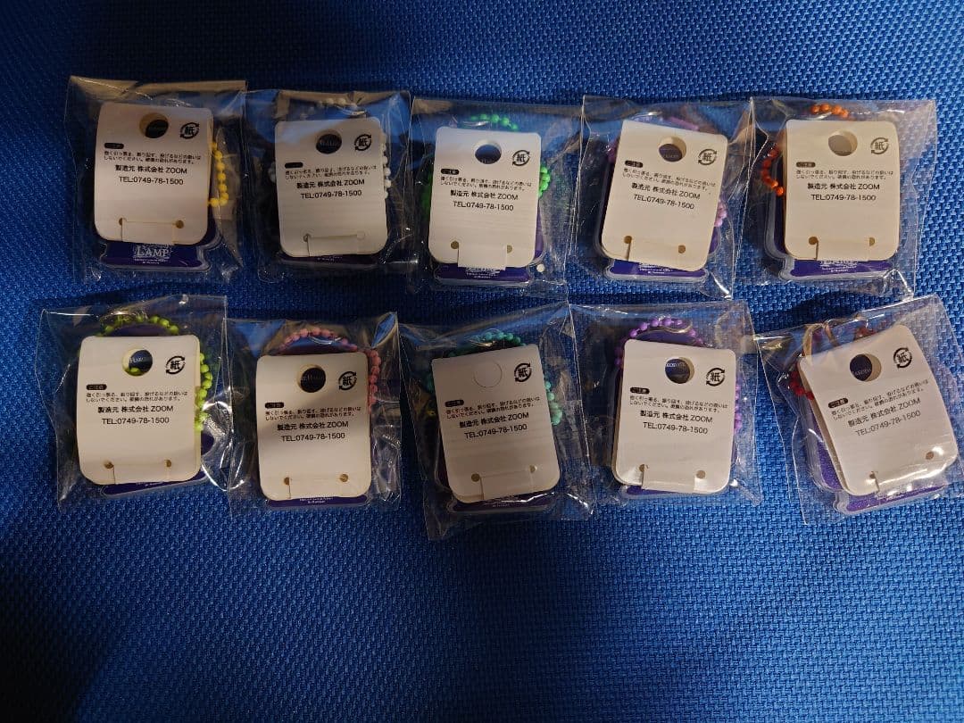 LAMP　キーホルダー　箱館山　10種類コンプ　琵琶湖キーホルダー　ZOOM