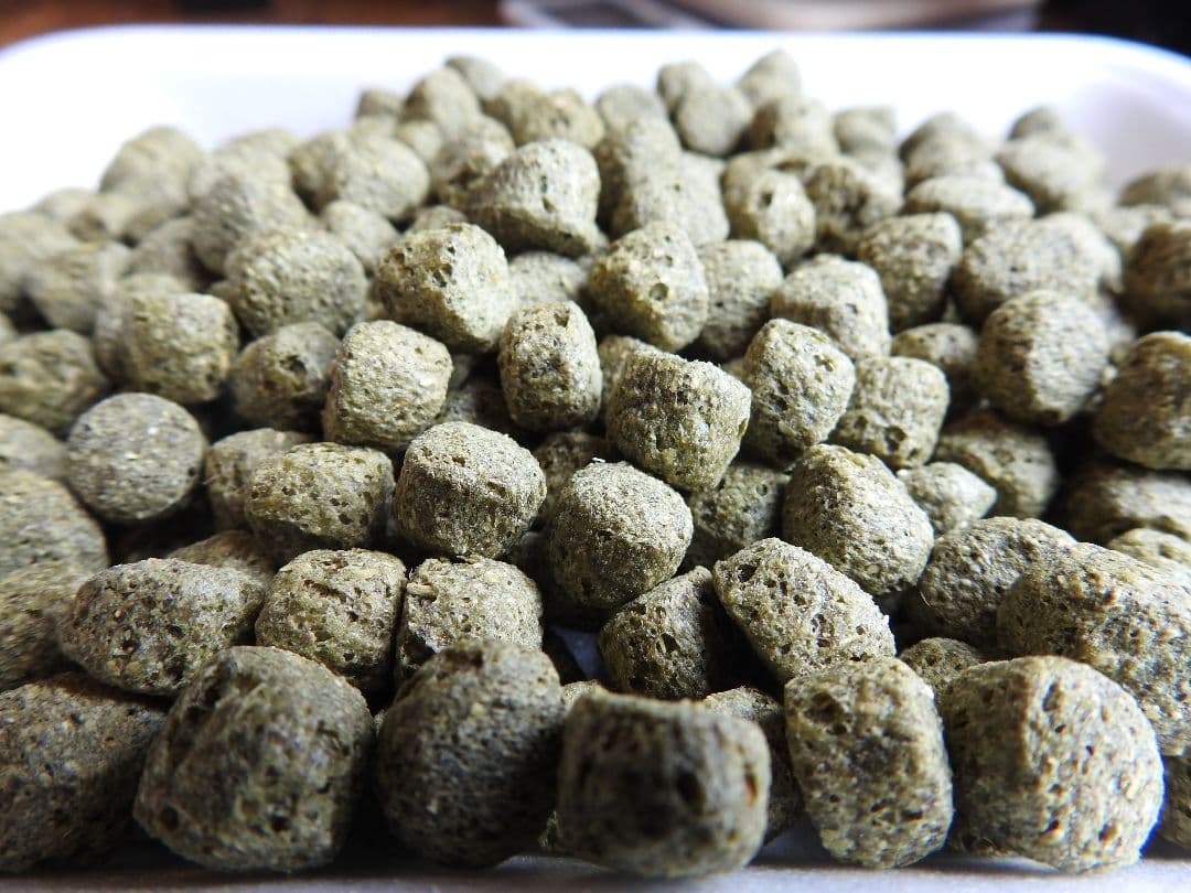 ★送料無料【アヒル・コールダック用飼料・ペレット】