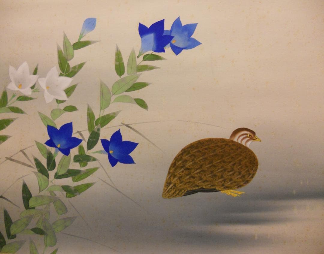 掛け軸 清風 桔梗 絹本 希少 軸装 茶道具 掛軸 です。