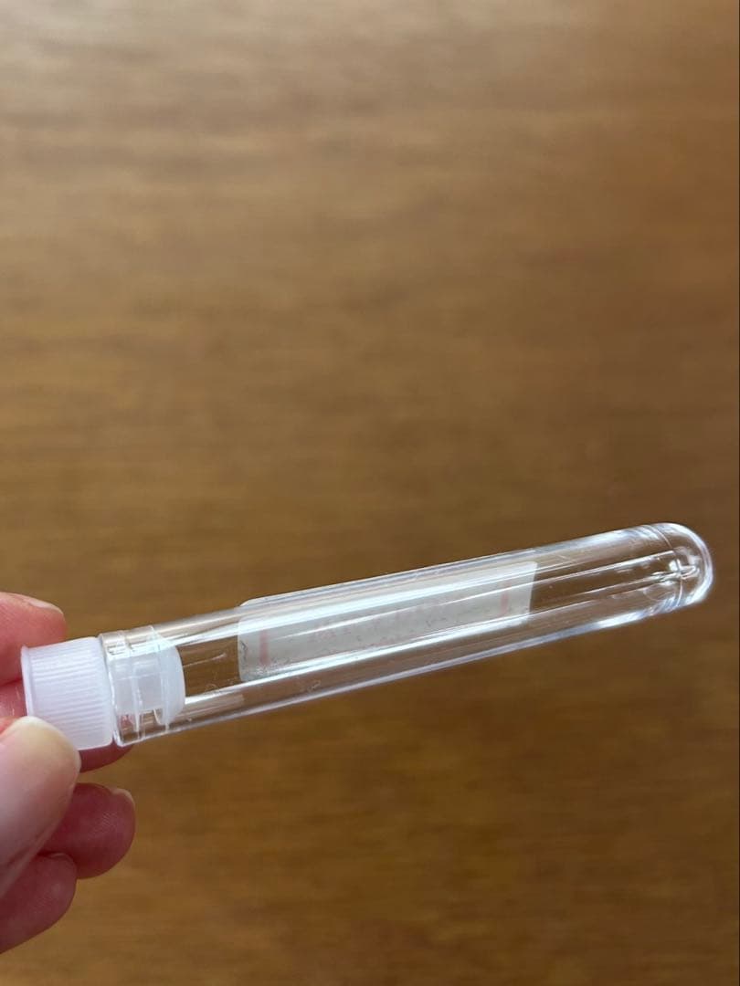 【椎名林檎】ピアス　ウヱポン円錐