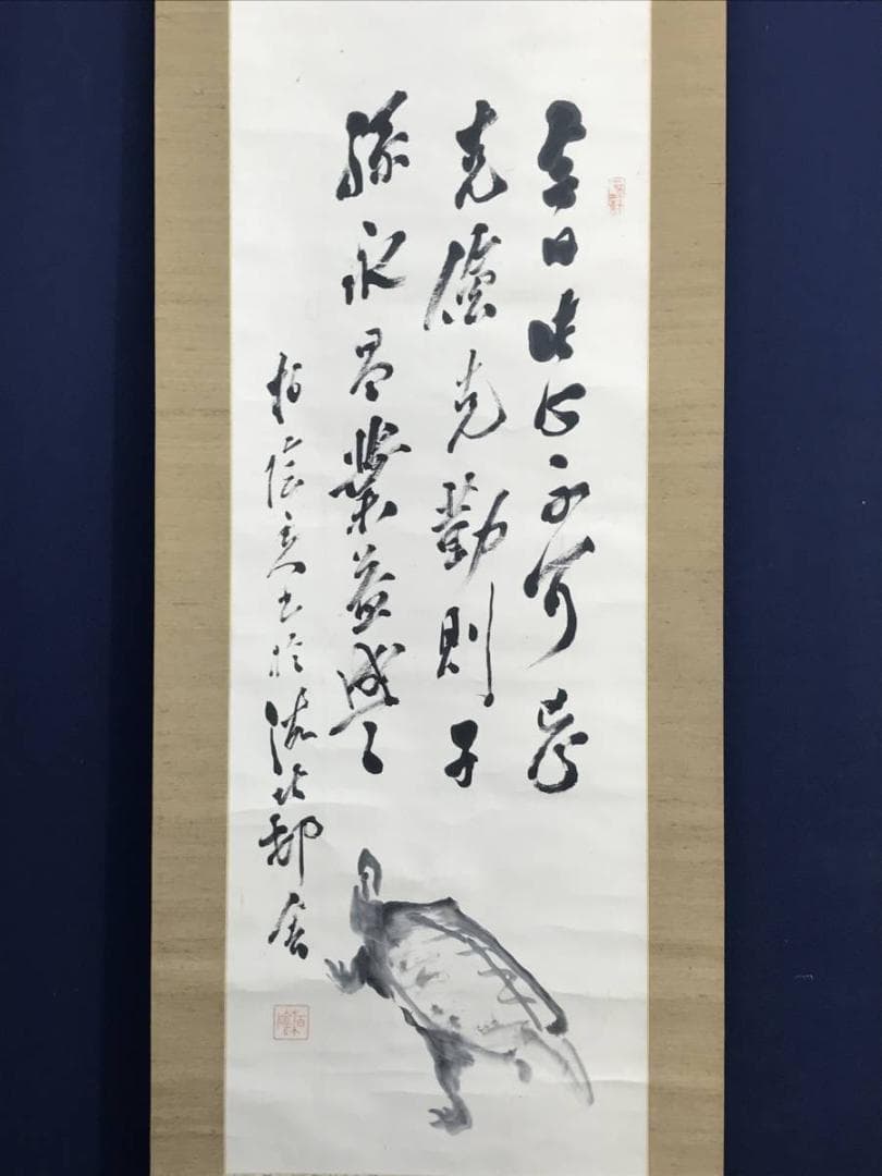 【真作】田中柏陰/亀画賛/亀図/カメ図/掛軸/名家伝来/AD-87