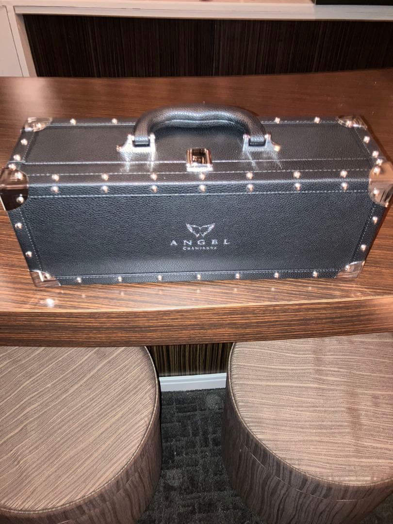 希少 エンジェル ヘイローケース 7色