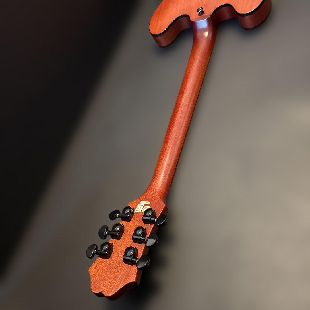 Epiphone セミアコ　dot studio マット仕上げ ギグバッグ付き