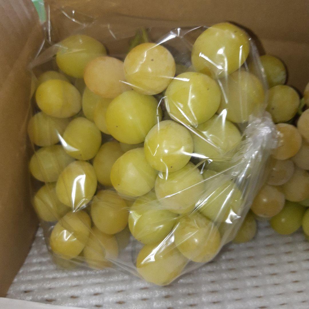 シャインマスカット徳用秀品5キロ入り