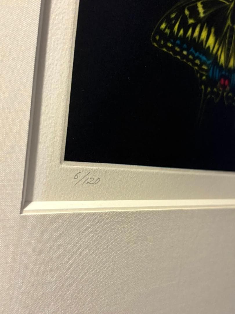 加山又造　薊　銅版画　限定120枚のうちの6番