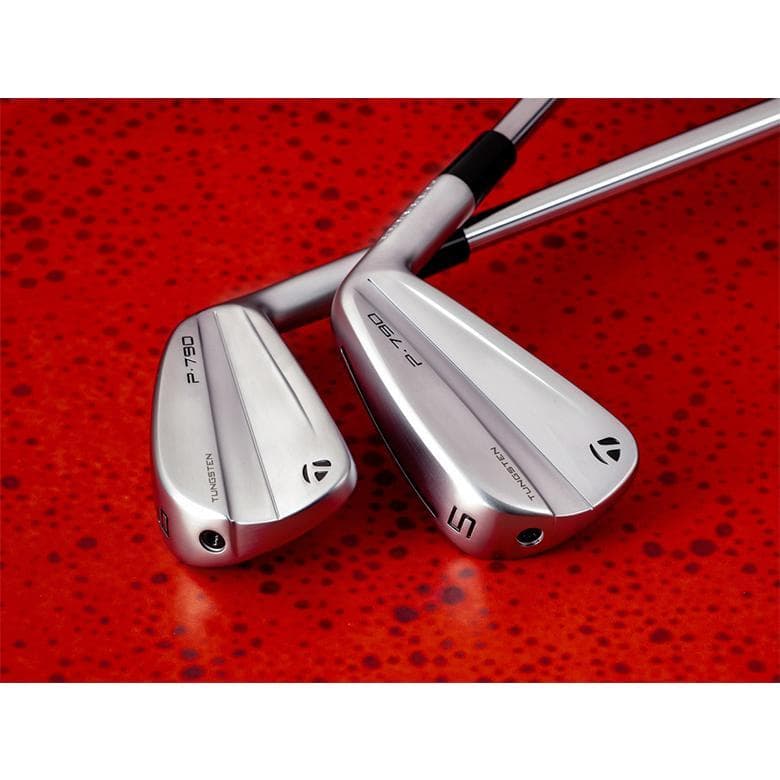 テーラメイドP790 （23）5本セット　 Dynamic Gold EX