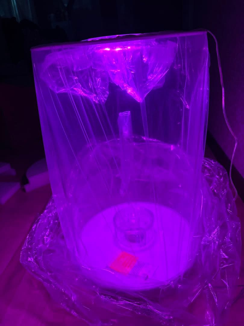 biOrb（バイオーブ） チューブ 30L MCR ホワイト