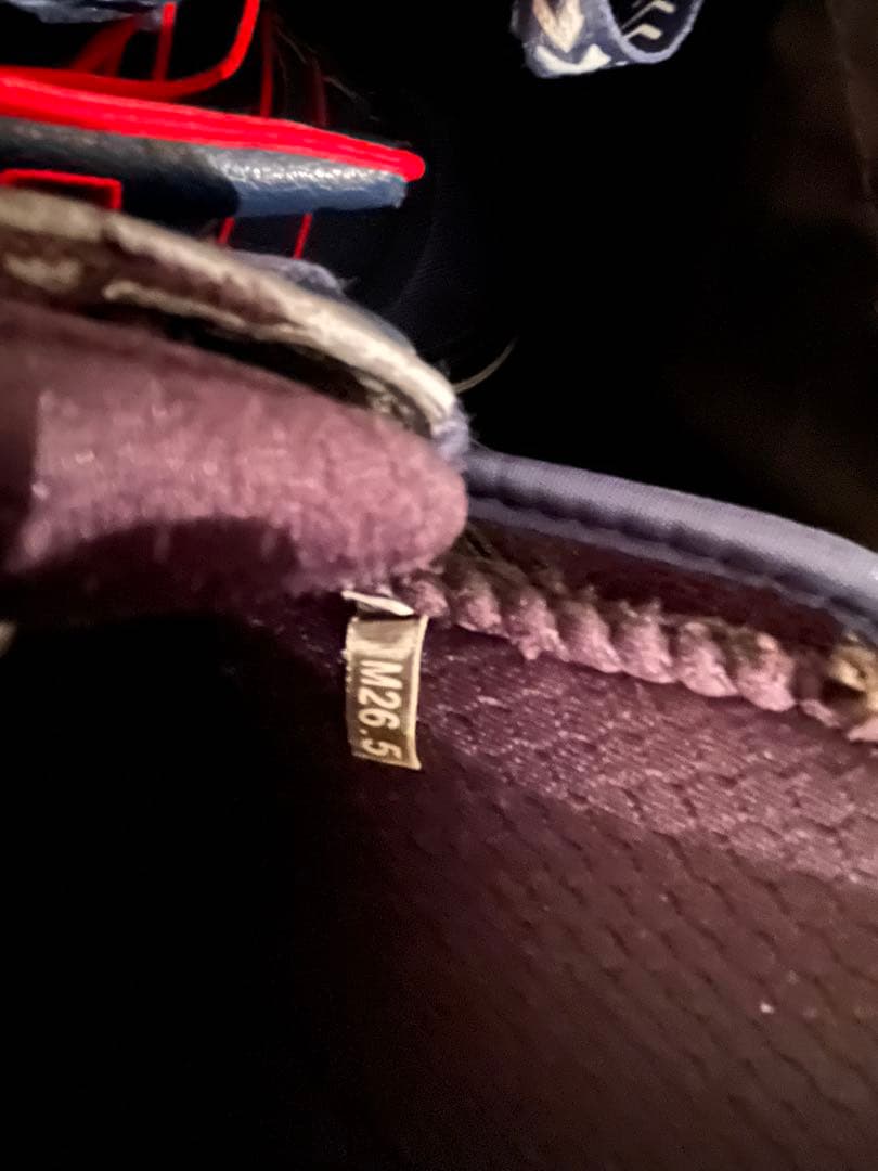 【美品】DEELUXE（ディーラックス） スノーボードブーツ／収納バッグ付き