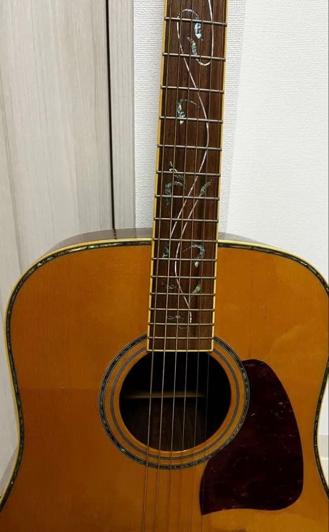 Ibanez アコースティックギター